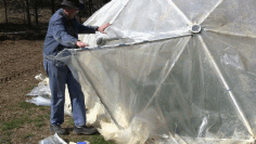 The PVC Chicken Tractor can be used as a greenhouse