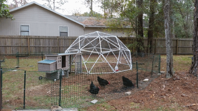 13' Chicken Coop Kit