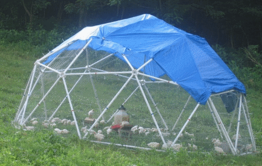 Geodesic Chicken Coop Kit