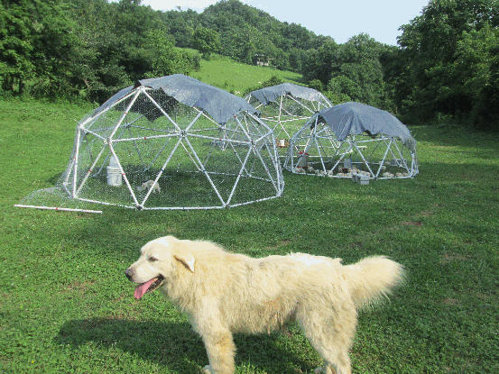 Geodesic Dome Kit