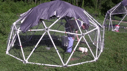 11' Chicken Coop Kit