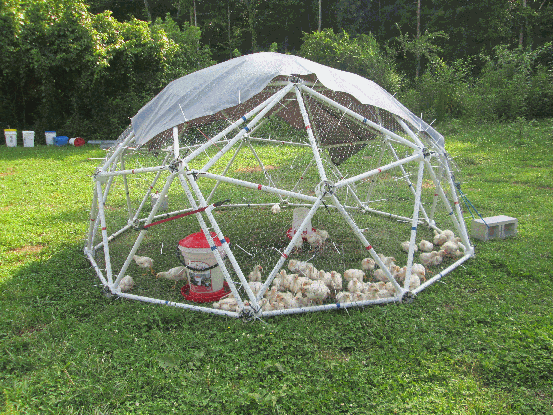 11' Chicken Coop Kit