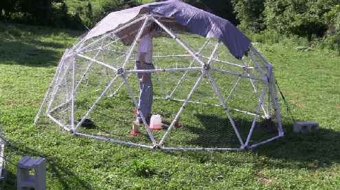 13' Chicken Coop Kit