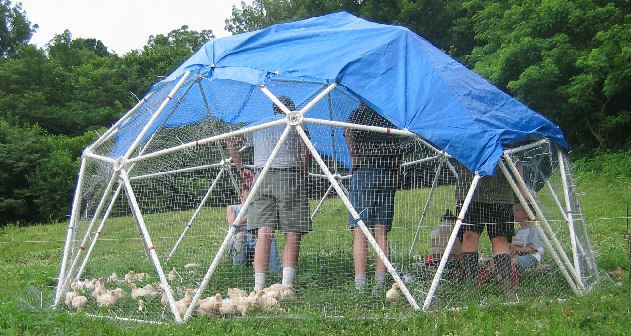 16' Chicken Coop Kit