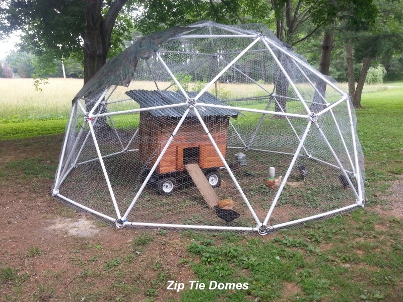 2v Mobile Chicken Coop Dome