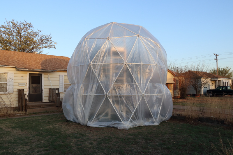 Greenhouse for Tree in Winter