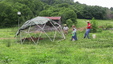Click to see Moving the Geodesic Chicken Coop video